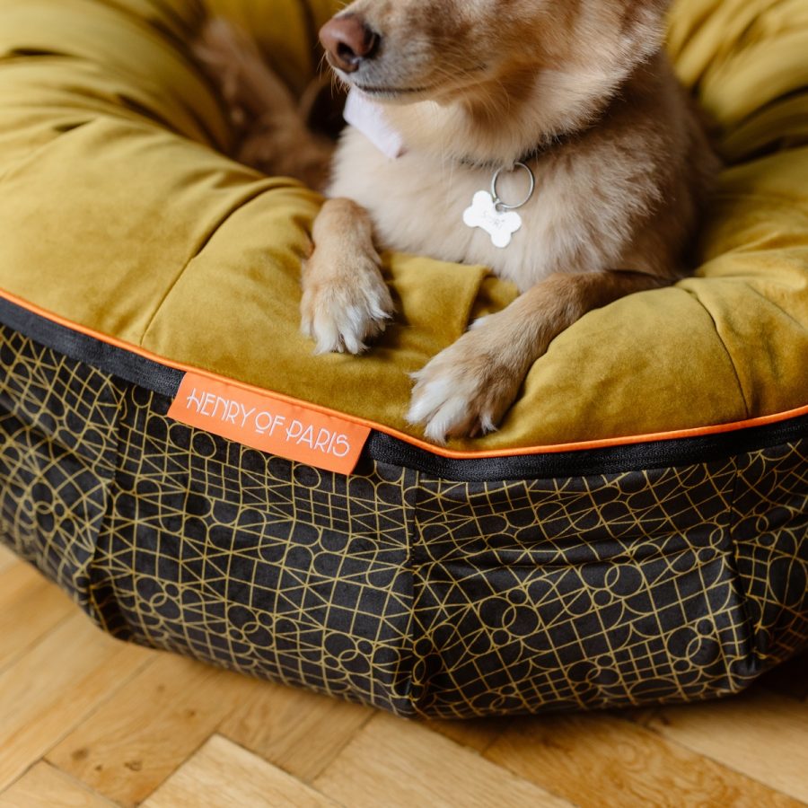 Le Nid bed for the dog Henry of Paris